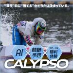 カリプソサイトトップページ