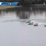 2月24日芦屋8R②