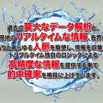 トリプルのサイト文言